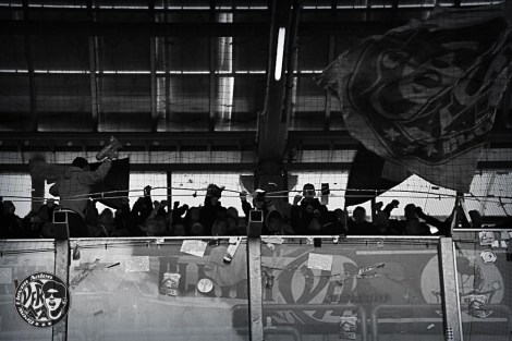 12719075_1223445584351678_4579664611203281778_o